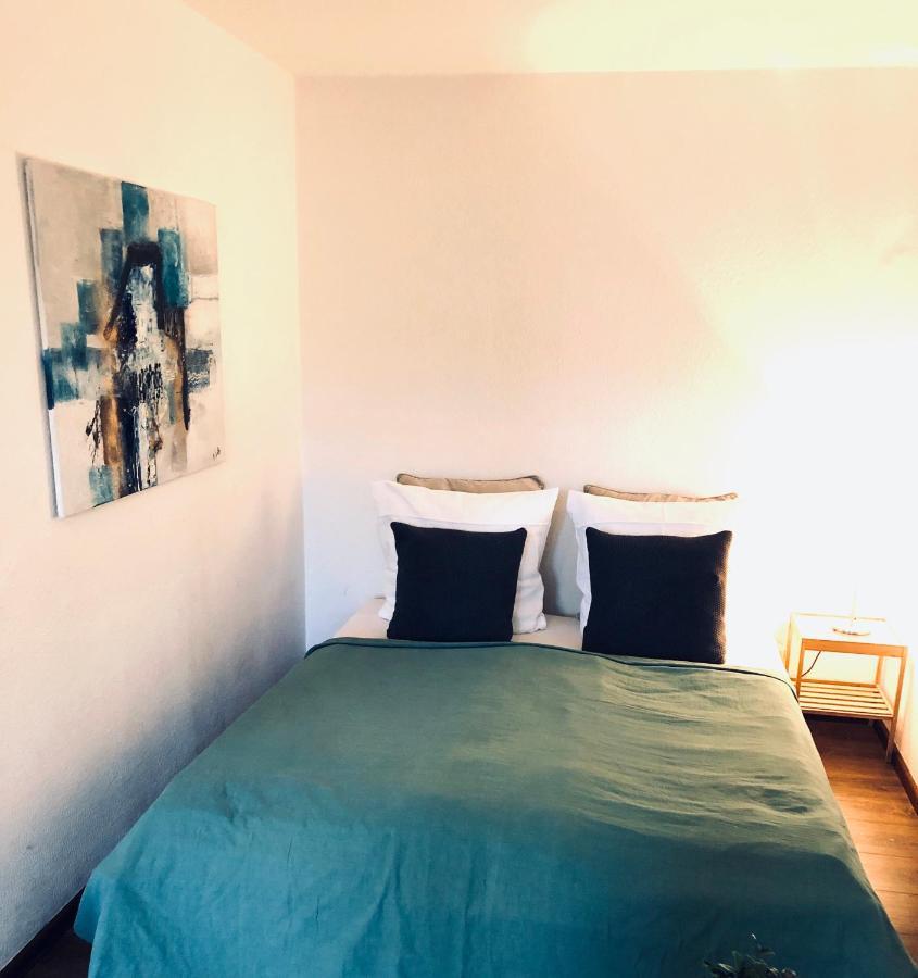 Apartment Tilia フライブルク エクステリア 写真